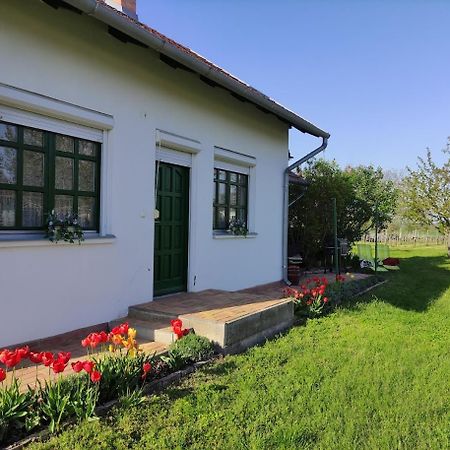 Szolohegyi Haziko - Cottage In The Vineyard Balatonszárszó 外观 照片