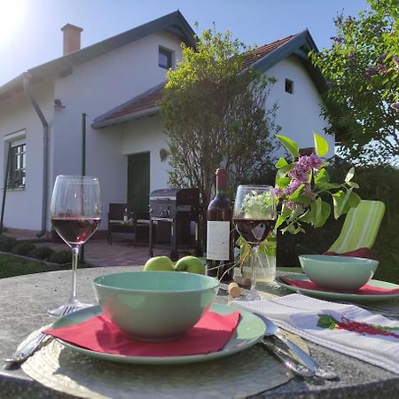 Szolohegyi Haziko - Cottage In The Vineyard Balatonszárszó 外观 照片