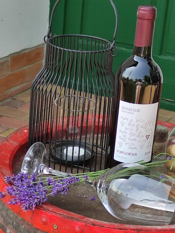 Szolohegyi Haziko - Cottage In The Vineyard Balatonszárszó 外观 照片