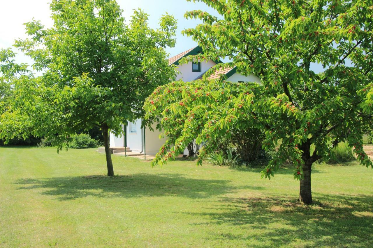 Szolohegyi Haziko - Cottage In The Vineyard Balatonszárszó 外观 照片