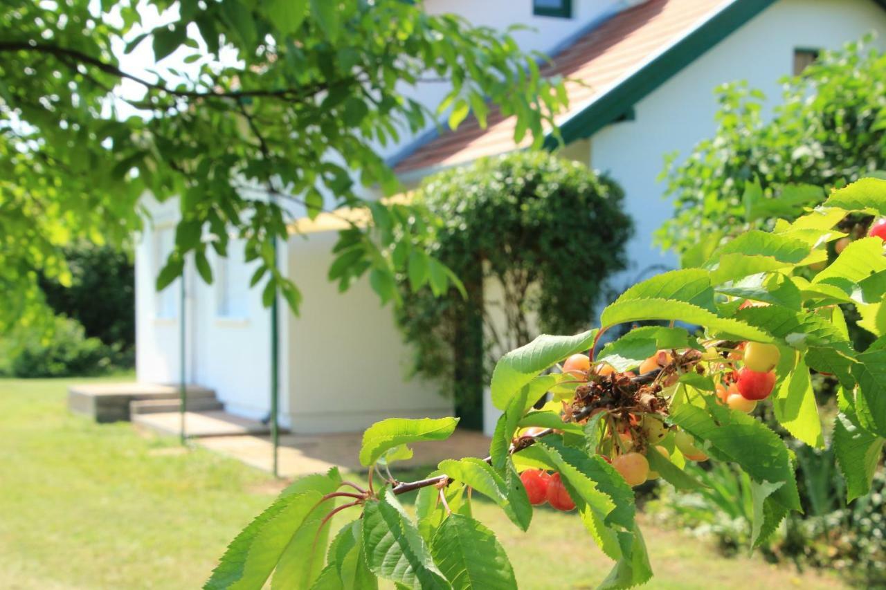 Szolohegyi Haziko - Cottage In The Vineyard Balatonszárszó 外观 照片