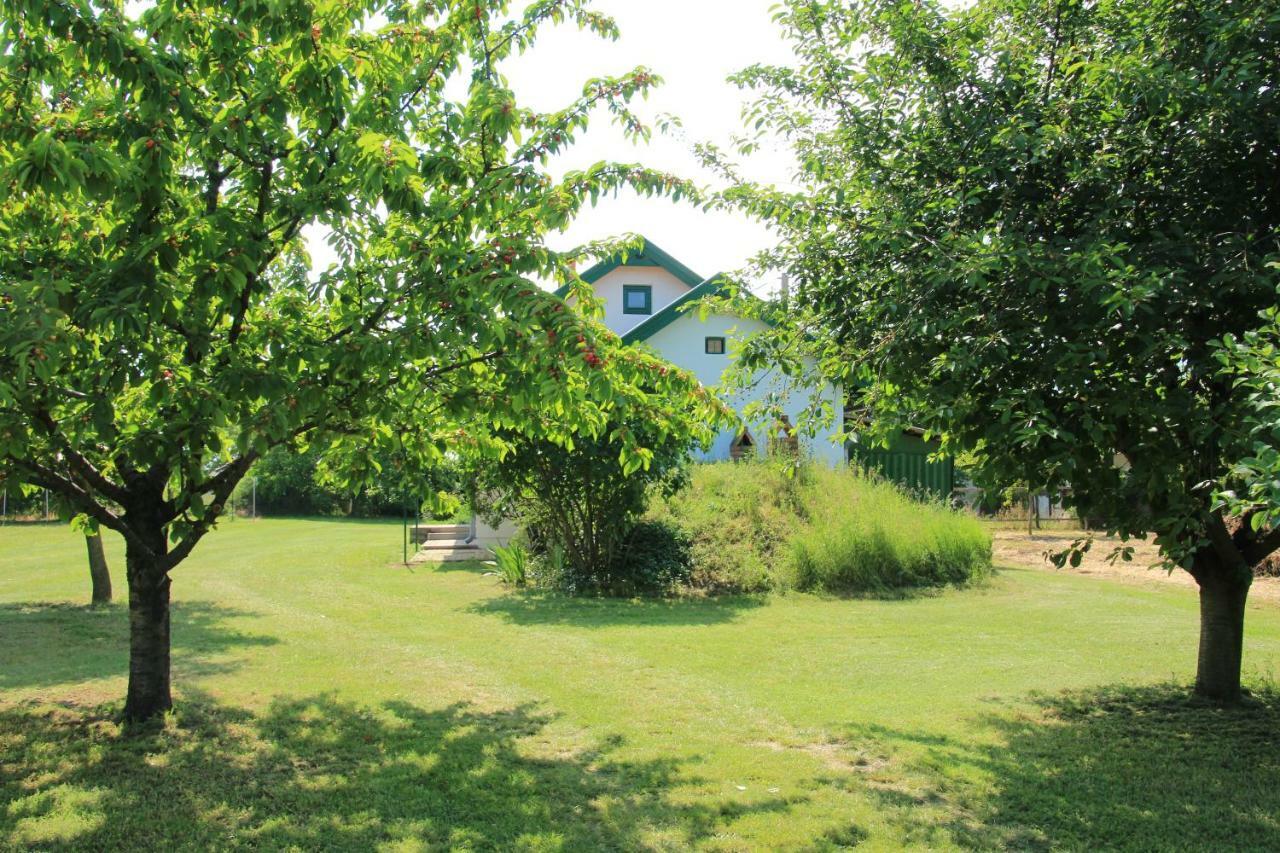 Szolohegyi Haziko - Cottage In The Vineyard Balatonszárszó 外观 照片